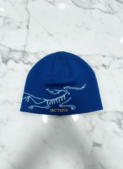 Arc'teryx bonnet
